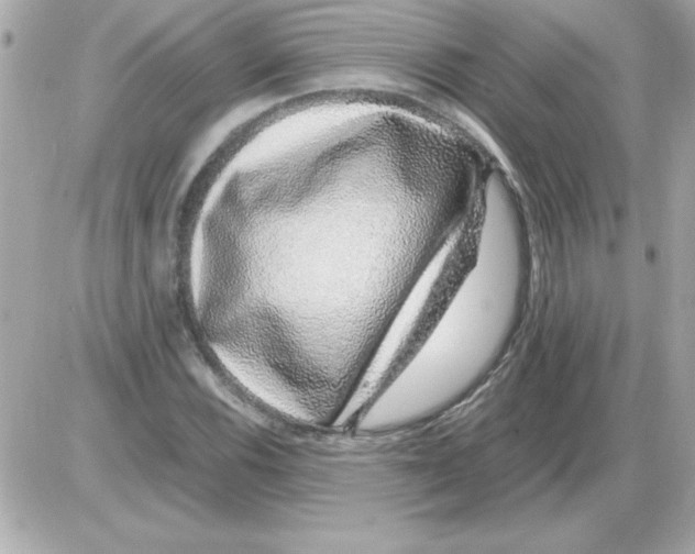 X0000085311116200704092316