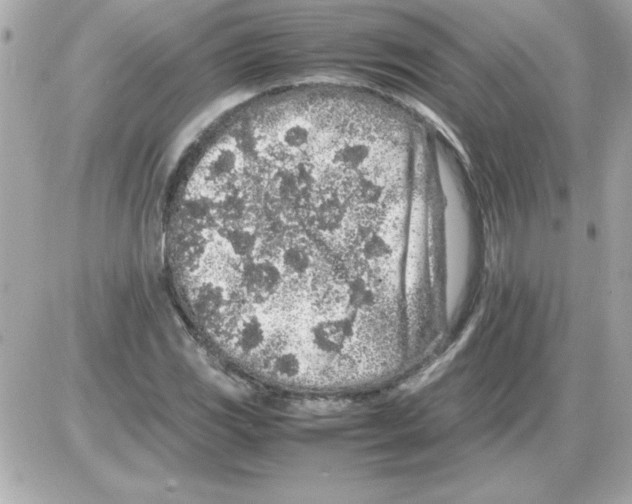 X0000085311117200704092316