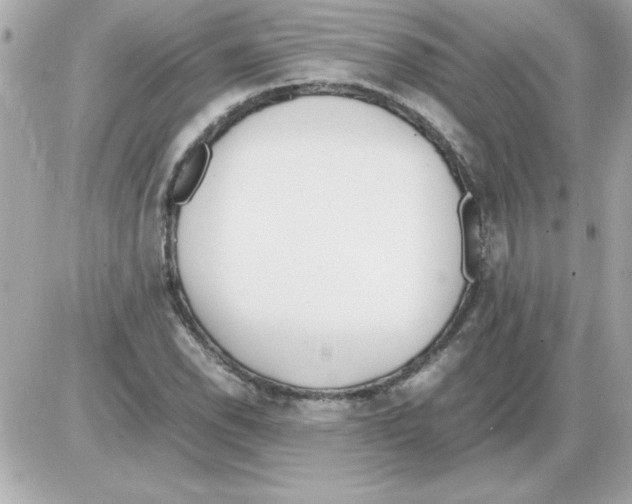 X0000085311118200704092316