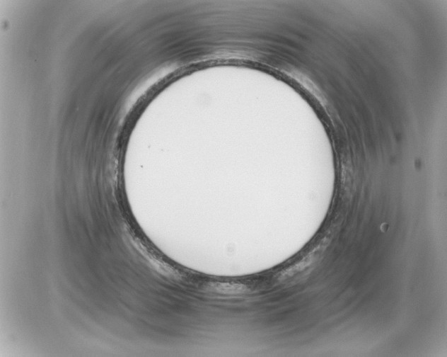 X0000085311119200704092316