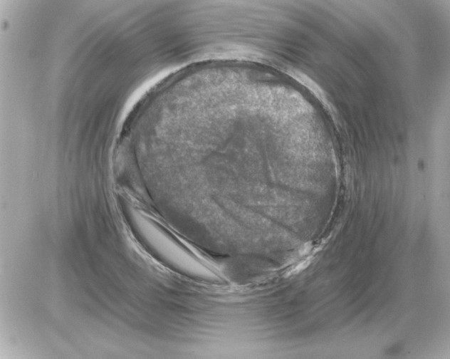 X0000085311120200704092316