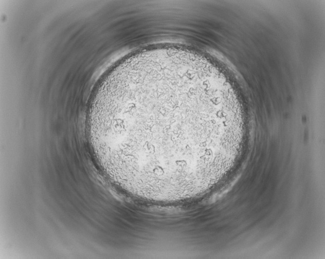 X0000085311121200704092316