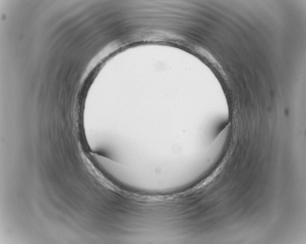 X0000085311122200704092316