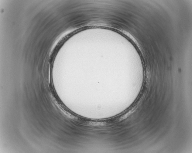 X0000085311123200704092316