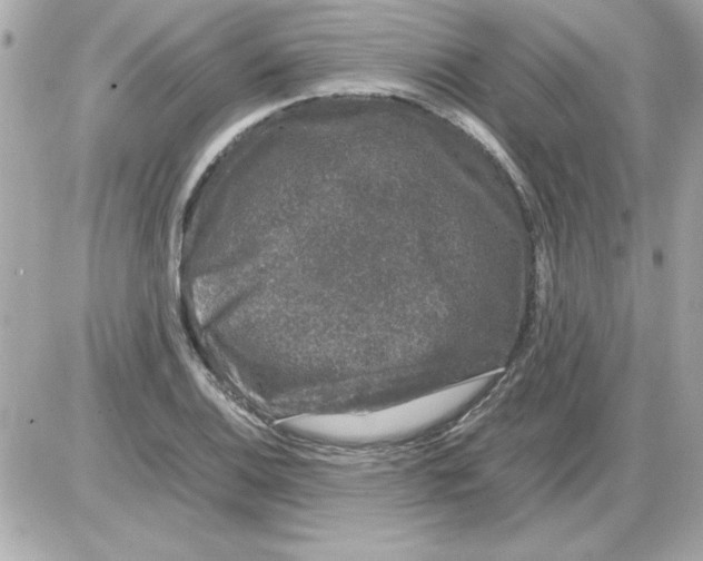 X0000085311124200704092316