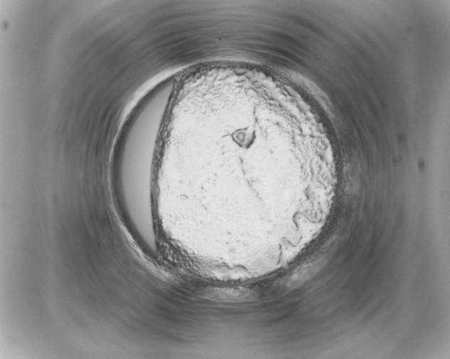 X0000085311125200704092316