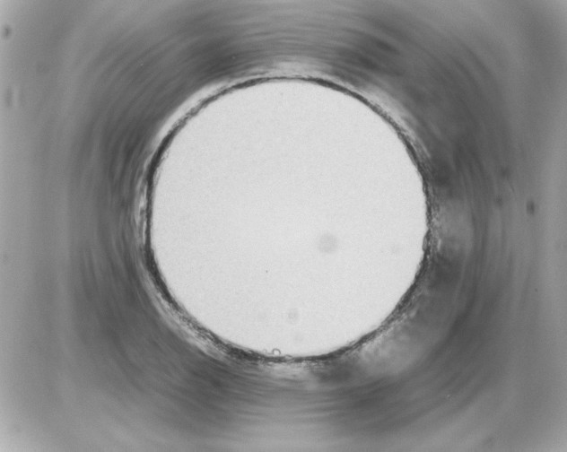 X0000085311126200704092316