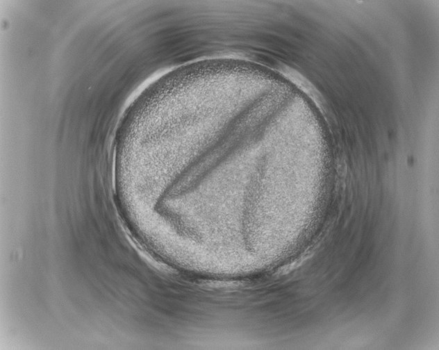 X0000085311127200704092316