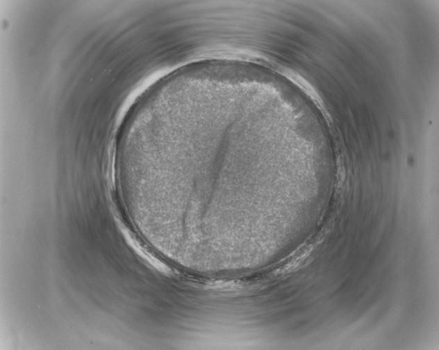 X0000085311128200704092316