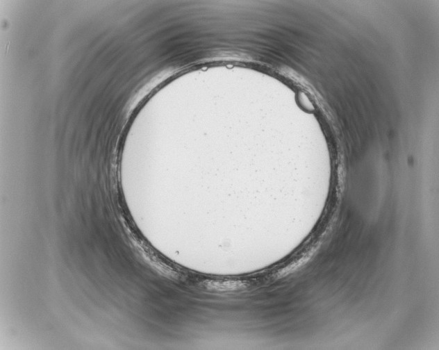 X0000085311129200704092316