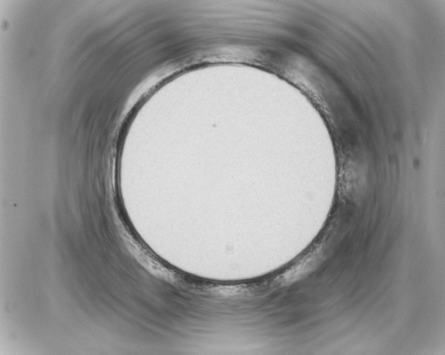 X0000085311130200704092316