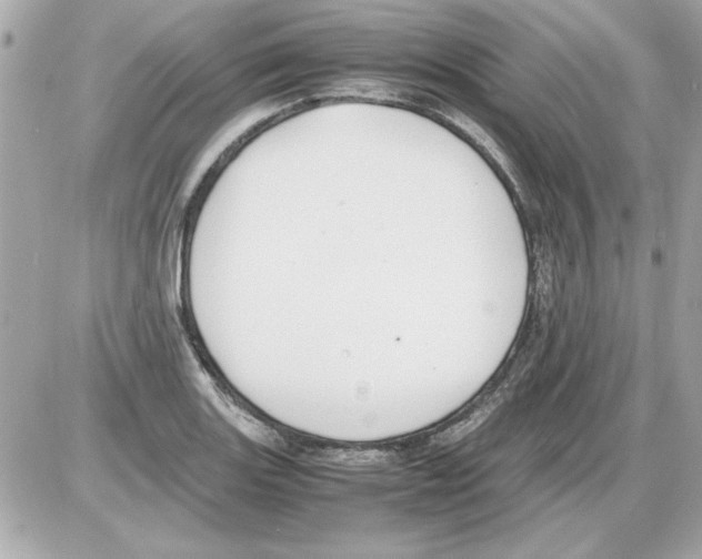 X0000085311131200704092316