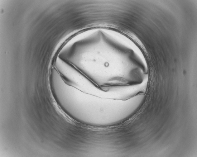 X0000085311132200704092316