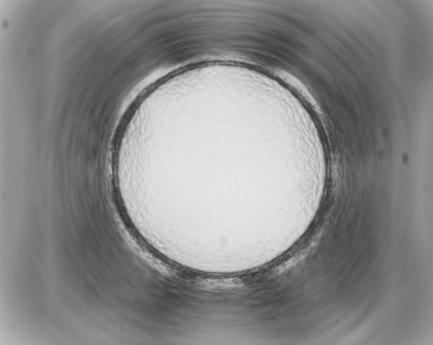 X0000085311133200704092316