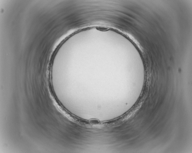 X0000085311134200704092316