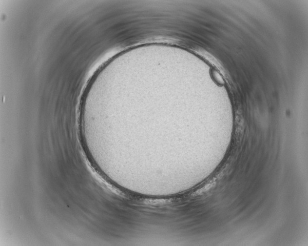 X0000085311135200704092316