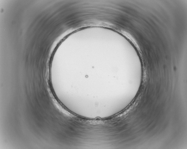 X0000085311136200704092316