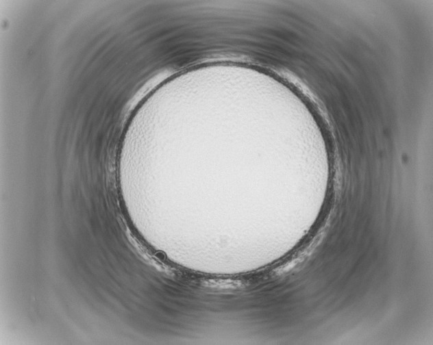 X0000085311137200704092316