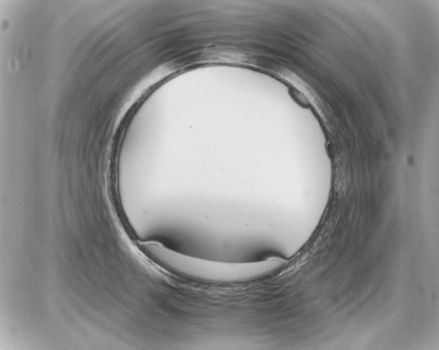 X0000085311139200704092316