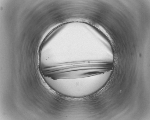 X0000085311140200704092316