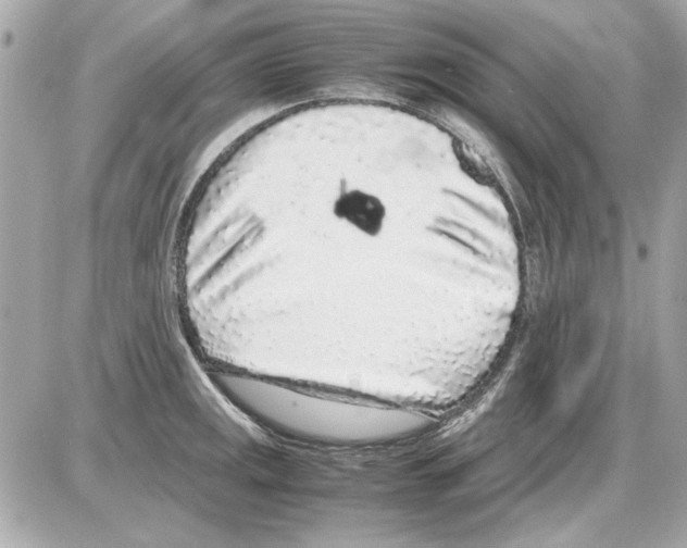 X0000085311141200704092316