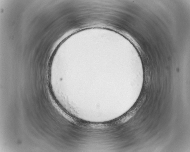 X0000085311142200704092316