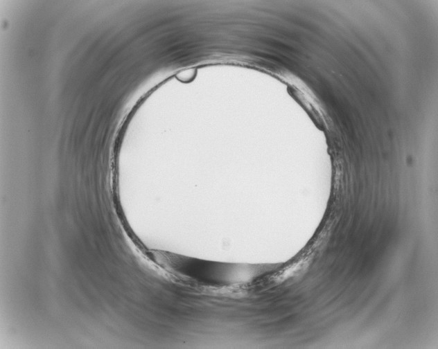 X0000085311143200704092316