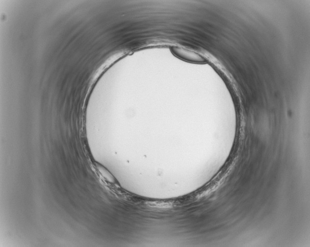 X0000085311145200704092316