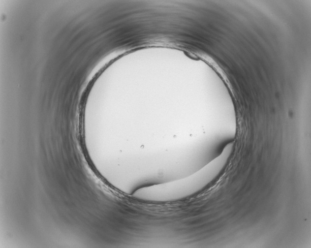 X0000085311147200704092316