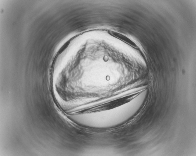 X0000085311151200704092317