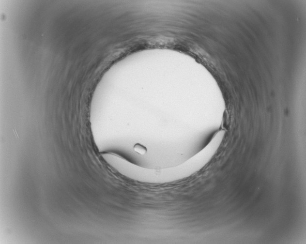 X0000085311153200704092316