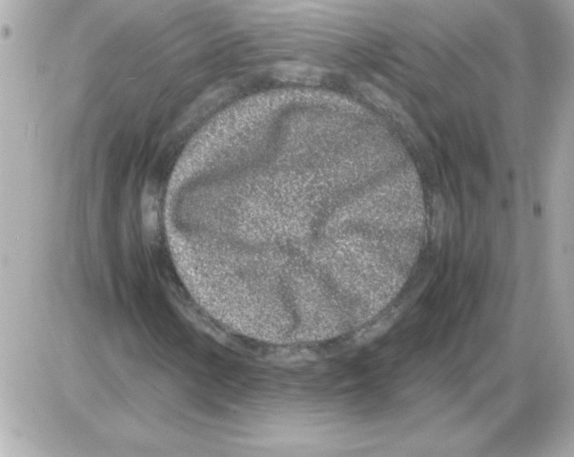 X0000085311154200704092316