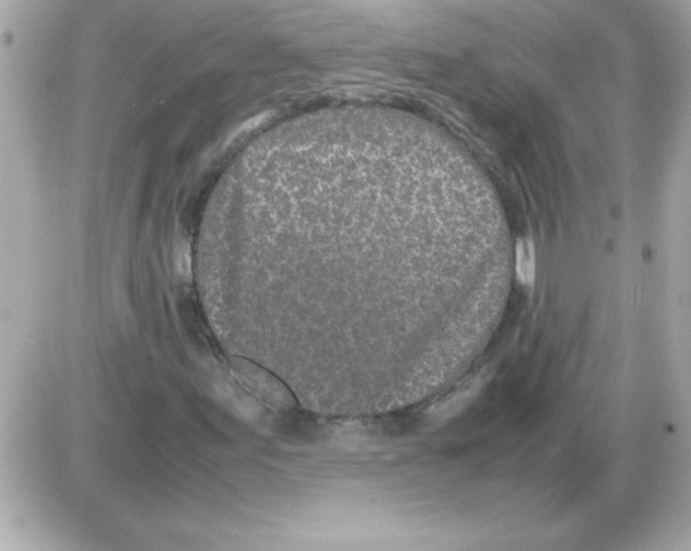 X0000085311155200704092316