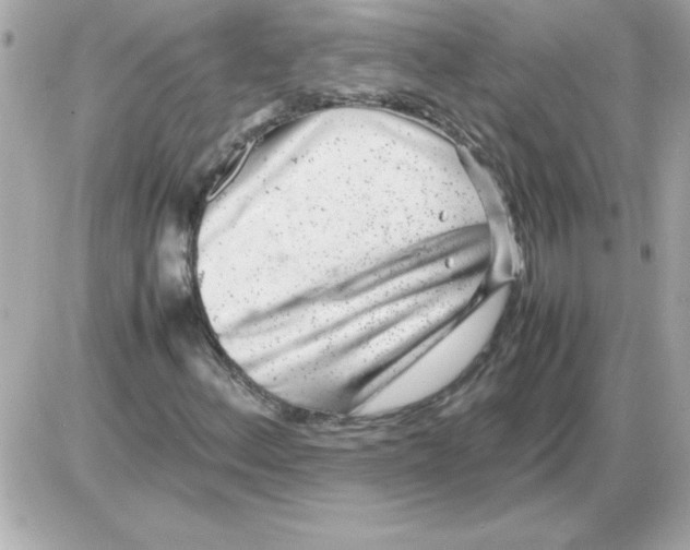 X0000085311156200704092316