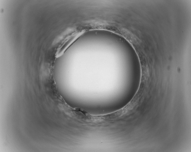 X0000085311157200704092316