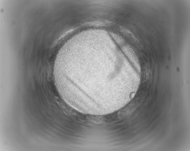 X0000085311158200704092316