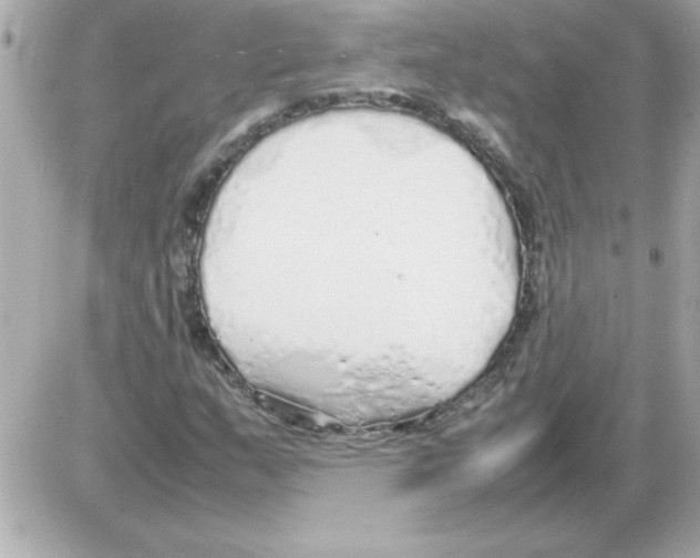 X0000085311159200704092316