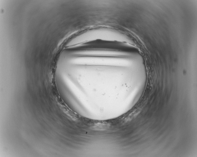 X0000085311160200704092316