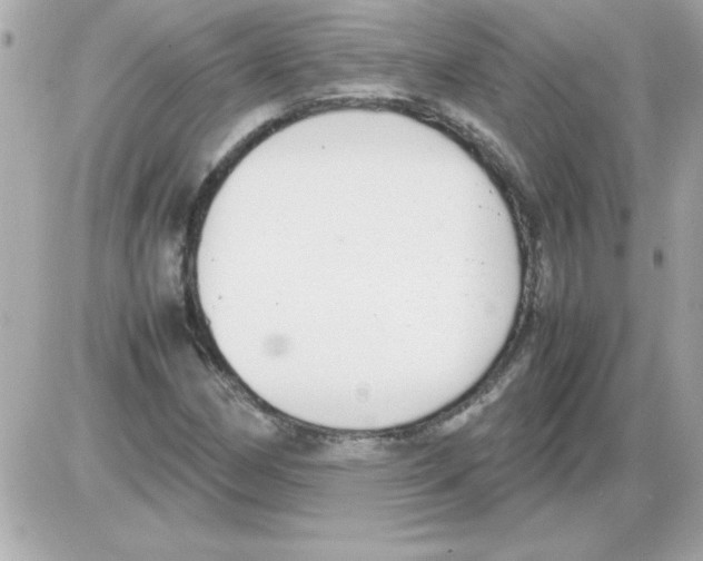 X0000085311162200704092316