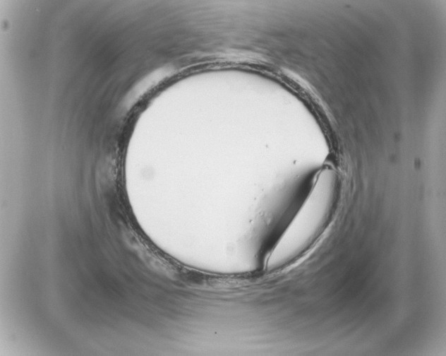 X0000085311163200704092316