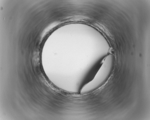 X0000085311164200704092316