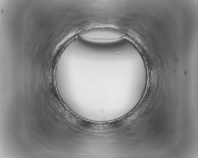 X0000085311165200704092316