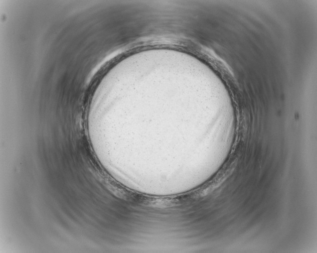 X0000085311166200704092316