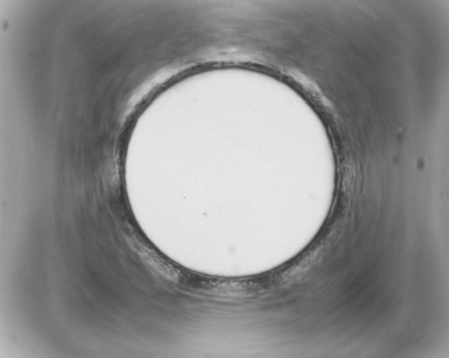 X0000085311167200704092316