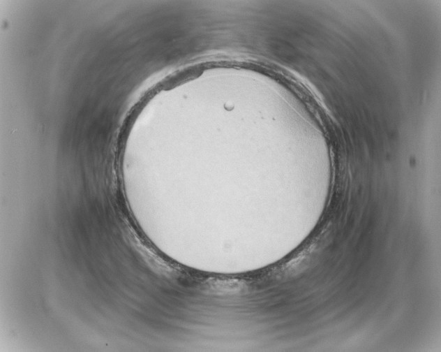 X0000085311168200704092316