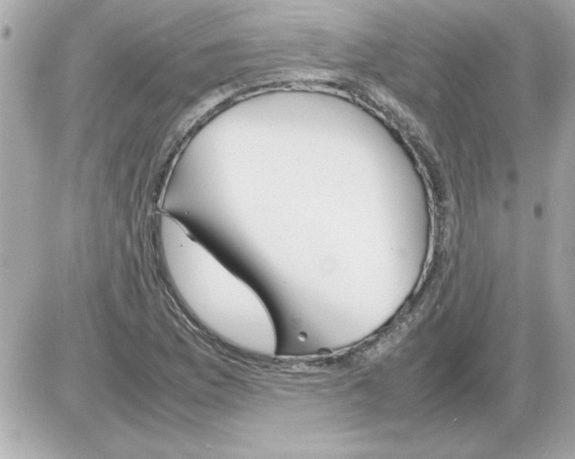 X0000085311169200704092316