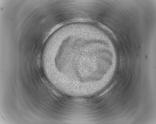 X0000085311170200704092315