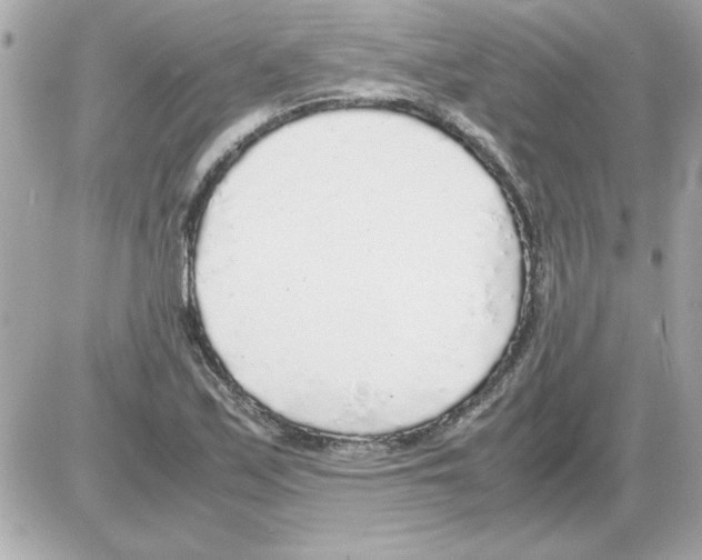 X0000085311171200704092315