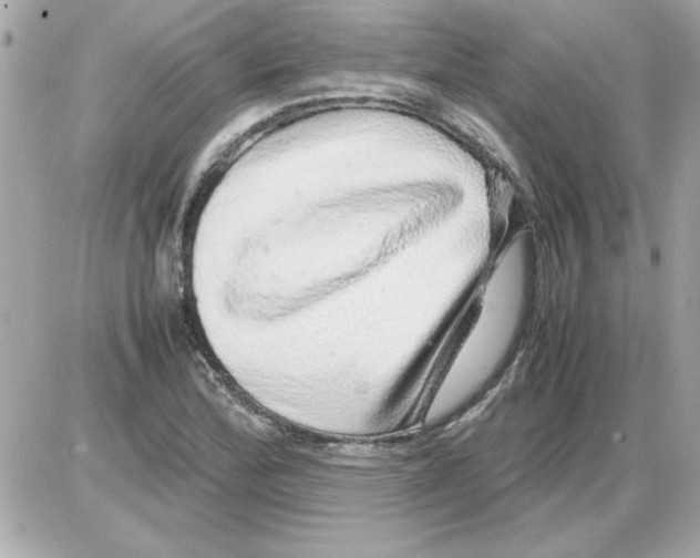 X0000085311172200704092315