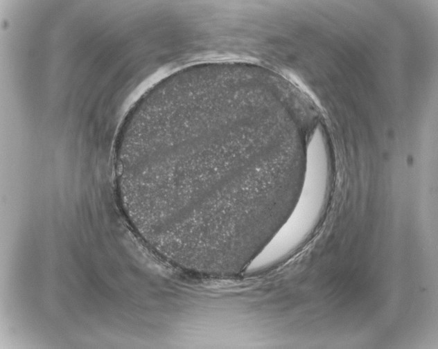 X0000085311173200704092315